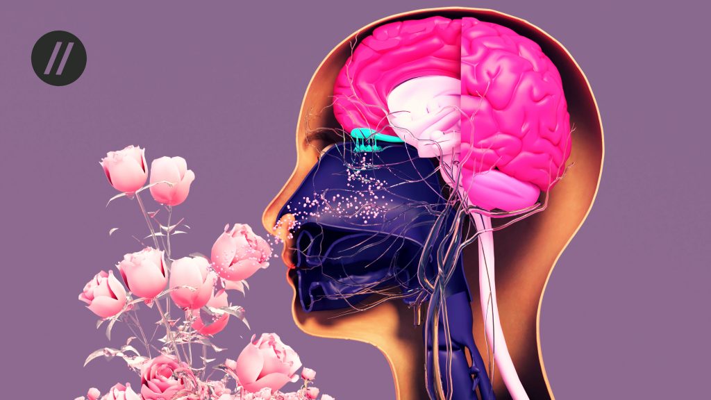 Scent of Success: Olfactive Cues and Perfume as Social Signals - SubStrata's Blog: Sales Science